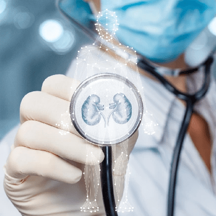 Biografía de [nombre]